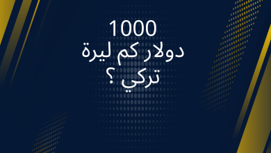 صور 1000 دولار كم ليرة تركي