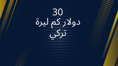 صور 30 دولار كم ليرة تركي