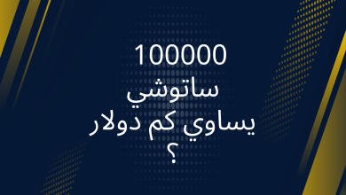 صور 100000 ساتوشي يساوي كام دولار