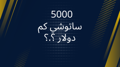 صور 5000 ساتوشي كم دولار