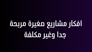 افكار مشاريع صغيرة مربحة جدا وغير مكلفة