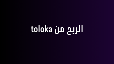 الربح من toloka