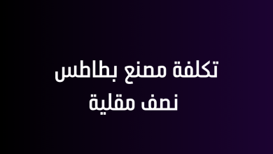 تكلفة مصنع بطاطس نصف مقلية