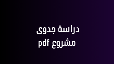 دراسة جدوى مشروع pdf