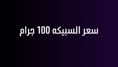 سعر السبيكه 100 جرام