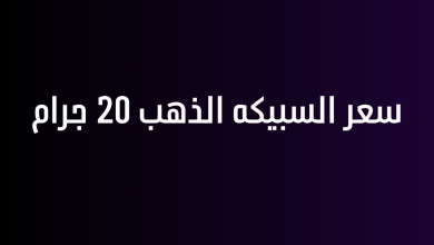 سعر السبيكه الذهب 20 جرام