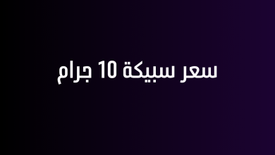 سعر سبيكة 10 جرام