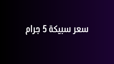 سعر سبيكة 5 جرام