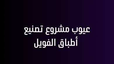 عيوب مشروع تصنيع أطباق الفويل