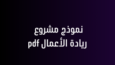 نموذج مشروع ريادة الأعمال pdf