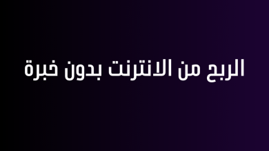 الربح من الانترنت بدون خبرة