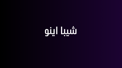 شيبا اينو