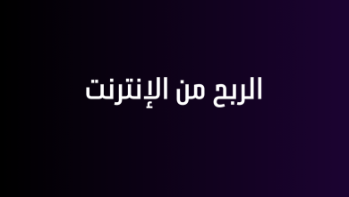 الربح من الإنترنت