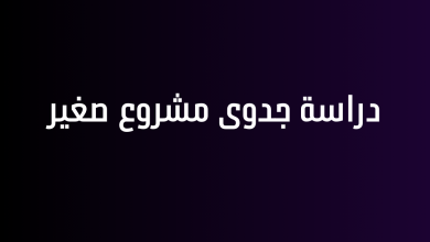 دراسة جدوى مشروع صغير