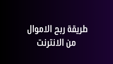 طريقة ربح الاموال من الانترنت