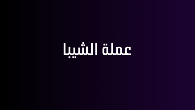 عملة الشيبا