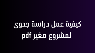 كيفية عمل دراسة جدوى لمشروع صغير pdf