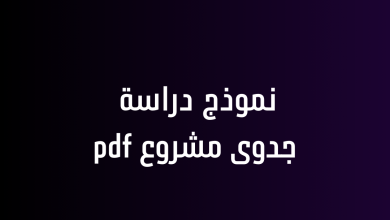 نموذج دراسة جدوى مشروع pdf