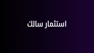 استثمار سالك