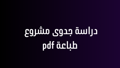 دراسة جدوى مشروع طباعة pdf