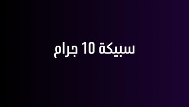 سبيكة 10 جرام