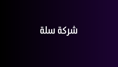 شركة سلة