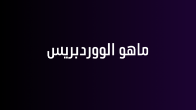 ماهو الووردبريس