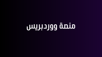 منصة ووردبريس