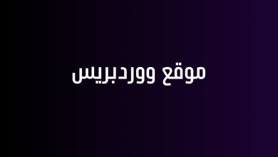 موقع ووردبريس