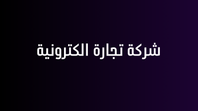 شركة تجارة الكترونية