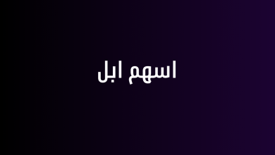 اسهم ابل