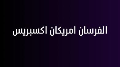 الفرسان امريكان اكسبريس