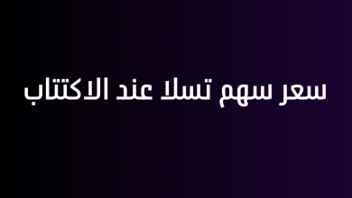 سعر سهم تسلا عند الاكتتاب