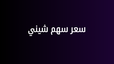 سعر سهم شيني